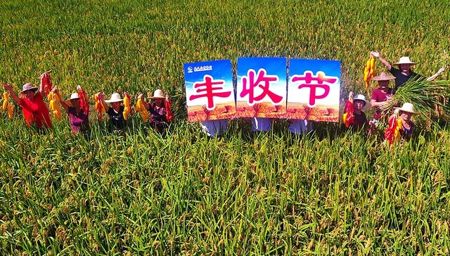 农民,丰收节,text-indent,影响深远,style,三农,农村改革,农业大国,加快推进,瓜果