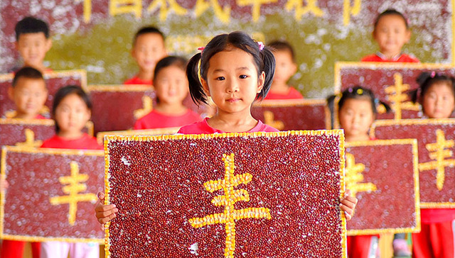 礼赞,丰收节,农民,丰收的季节,玉米,稻谷,辣椒,致敬,菜品,俯瞰