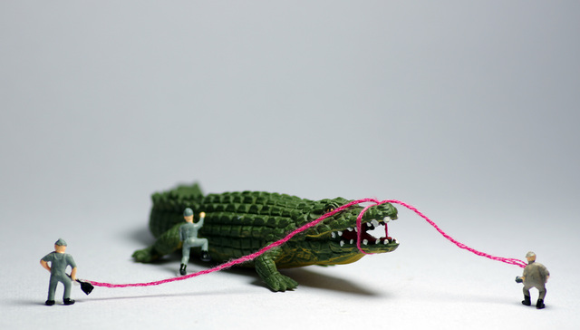 游资圈炸了！85后