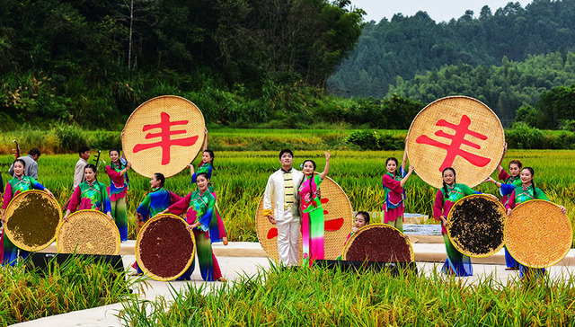 唐兴,农民专业合作社,丰收节,小麦面积,小型无人机,基层农业,跑猪,张成,小岗村,集体经济