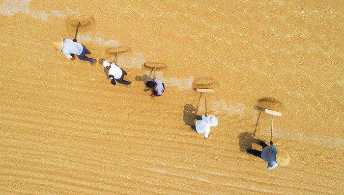 振兴战略,重要讲话,乡村建设,三农,体制机制,城乡融合,形象工程,农民合作社,顶层设计,农业农村