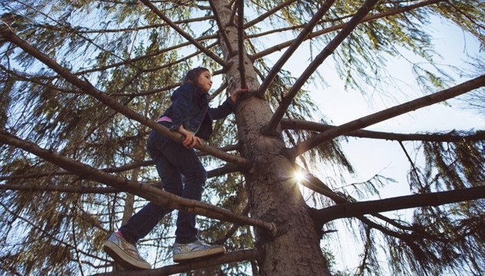 女性,青少年,社会性别
