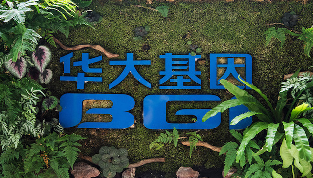 “举报”风波继续  华大基因再发声明称“不存在非法行医行为”