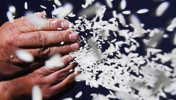 一碗米,三农,总书记,农业,农民,治国,农村,丰收节,粮食安全,天下粮仓