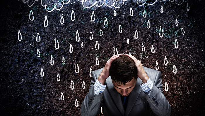 新大洲A,减持,北京财智,陈阳友