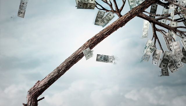 唐德影视，赵薇，赵健