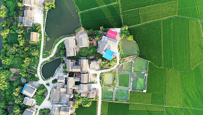 三农,习近平,科学发展观,惠农政策,农村公共服务,农村生活污水,上海农业,发展农村,发展思想,思考与