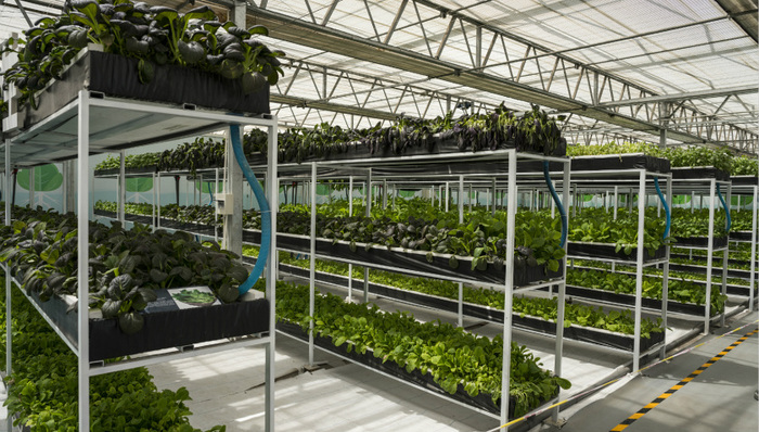 中国医改：为时代梦想筑牢民生之基