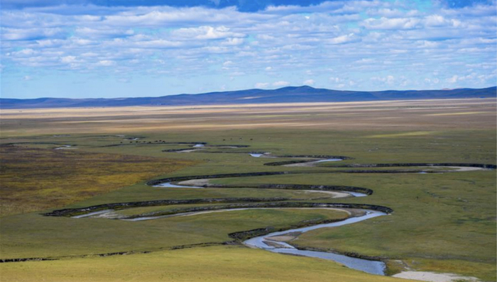 乌拉盖,草原,金秋时节,湛蓝,景观,牛羊,锡林郭勒盟,天幕,盛装,珍珠