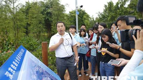 【新时代•幸福美丽新边疆】时速200公里高铁从小鸟天堂经过对噪音鸟儿为何处变不惊？