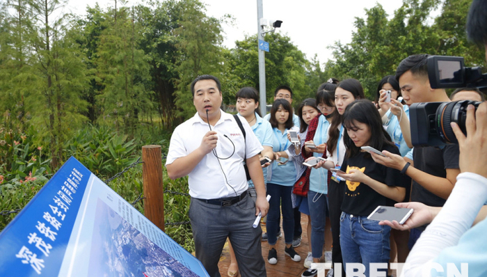 小鸟天堂,声屏障,1933年,景色,景区,鸟的天堂,中铁四局,深茂,敞开性,火车噪声