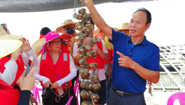 红光村,程村镇,肥度,生蚝,民主法治示范村,摄食时间,村民,阳西县,丝绳,养殖密度
