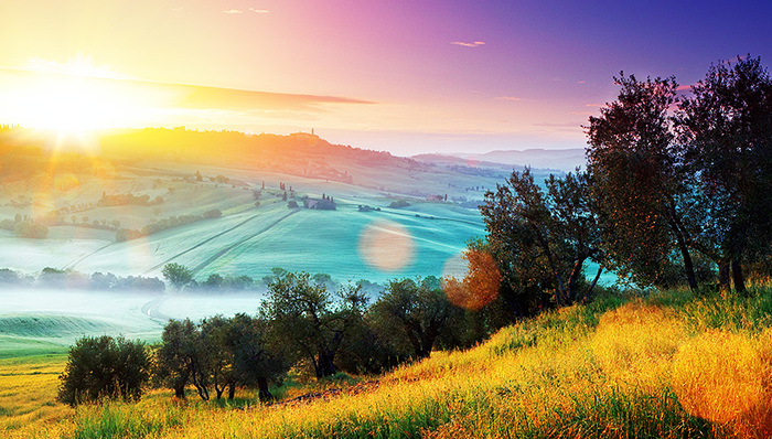 农业农村,涉农资金,土地出让,农业风险,农业信贷,农业补贴,农村低保,农村文化,农村教育,农业领域