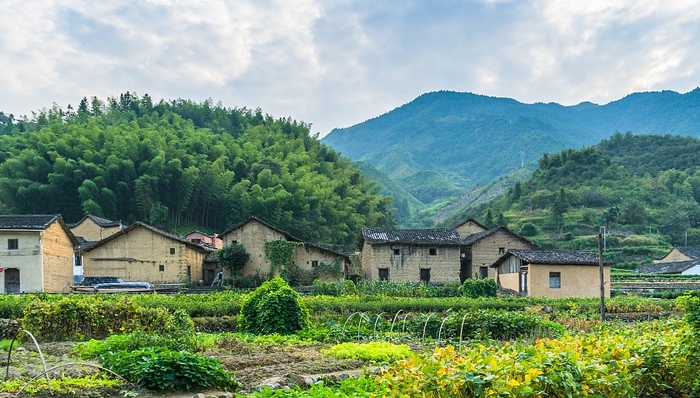 乡村振兴,战略规划,垃圾围村