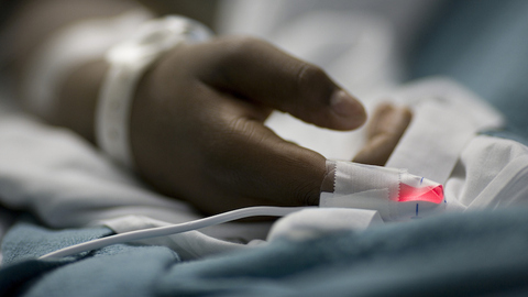 美日医学家获诺奖：他们让治愈癌症成为现实