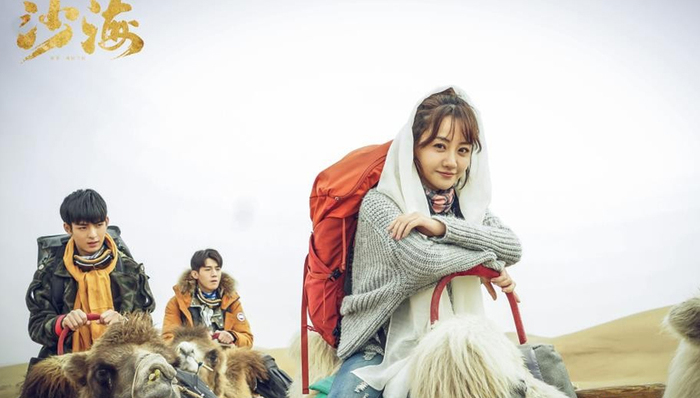 杨蓉,美剧,陈乔恩,军旅剧,陈数,精英女性,UGC,腹黑,圈层化,存在感