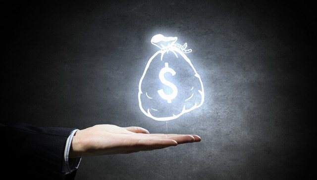 嘉实金融精选,上投摩根核心成长