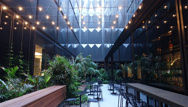 【首席体验官】澳洲首家希尔顿 Curio，悉尼市中心的一个时尚植物园