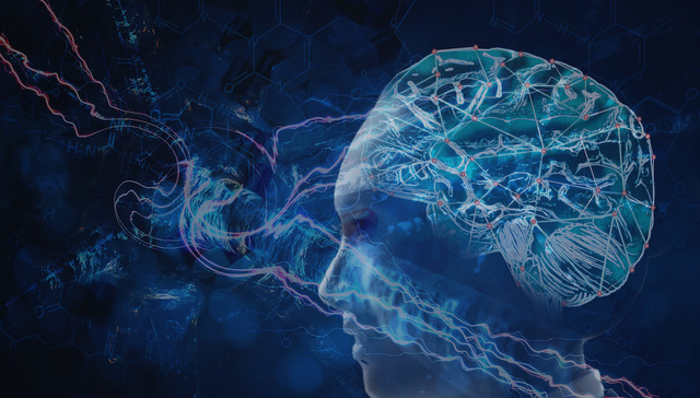 【工业之美】“毛毛虫”机器人体内运送药物 未来或可生物降解