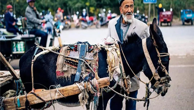 去新疆，这就像是踏上了一趟遗忘之旅