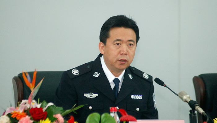 公安部副部长,涉嫌,调查,国家