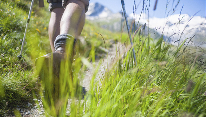 滇藏线,游客,驴友