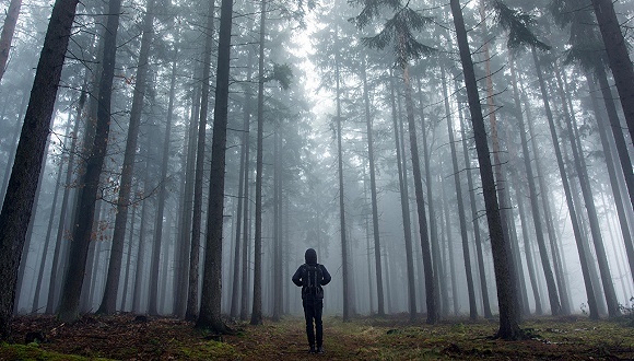 董事长,上市公司,失联