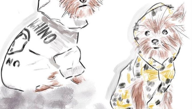 【是日美好事物】H&M x Moschino联名系列露真容，想买扁长型墨镜看看这个款式