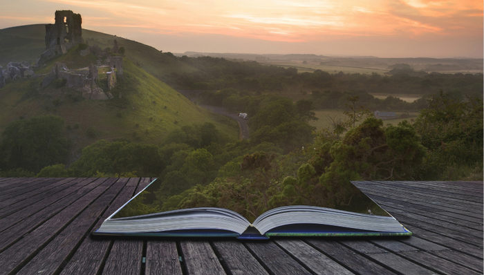 社会热点,调查报道