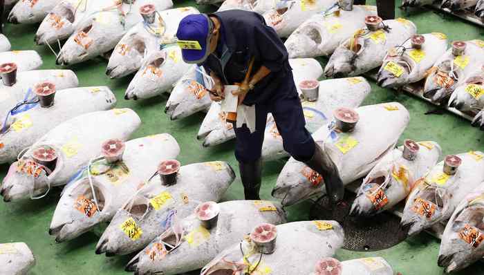 日本,亚洲社会,天下故事