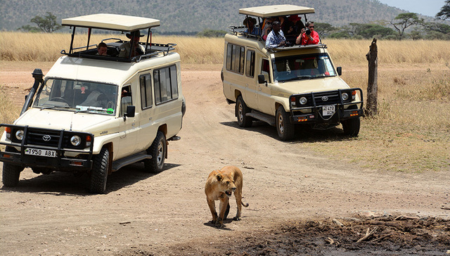拥有塞伦盖蒂的坦桑尼亚，近日连发暴力抢劫中国游客事件