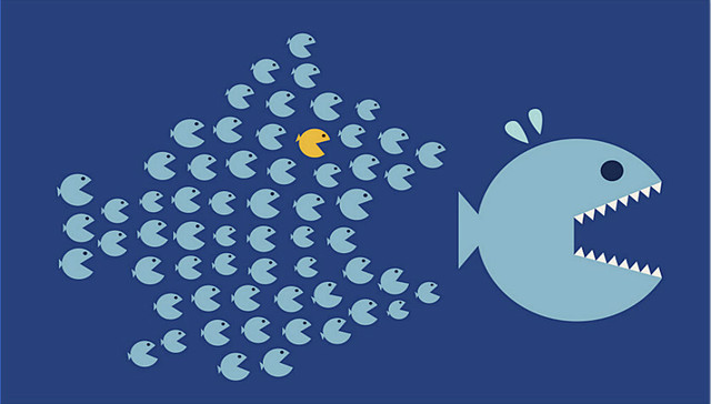 亚马逊,欧莱雅,竞争对手,歌利亚,跨国公司,零售商,消费者