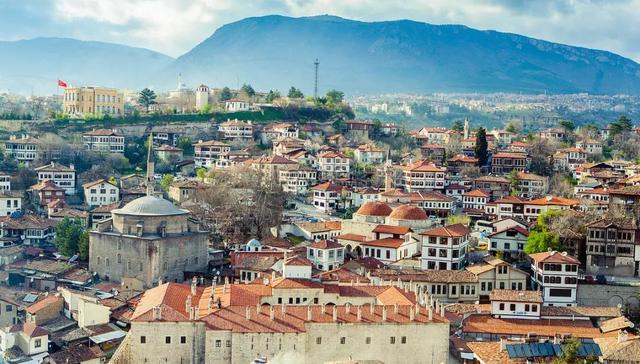 想带你去浪漫的土耳其，买假包、喝炉渣、逗流浪狗