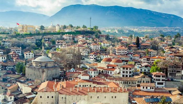 想带你去浪漫的土耳其，买假包、喝炉渣、逗流浪狗