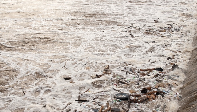 【深度】洪泽湖鱼蟹死亡背后：淮河流域污染危机何解？