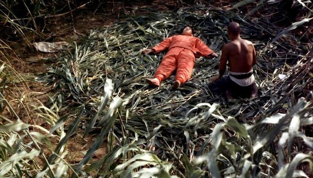 红高粱,1986年,1983年,票房收入,张艺谋,怀念,老井,孩子王,电影评介,野合