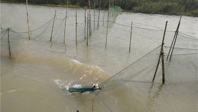长江豚类保护区,镇江市市长