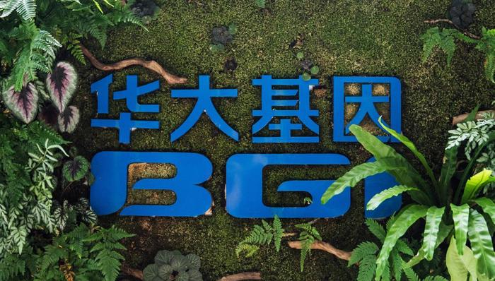 华大基因