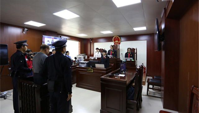 平板培养,判刑,食用,患病,被告人,布鲁氏菌病,养殖场,贺州市,平桂,中华人民共和国刑法