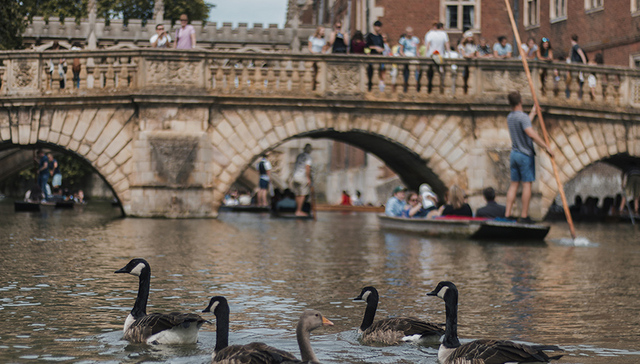 【天下奇闻】再别康桥？英国剑桥拟出招限制中国游客数量