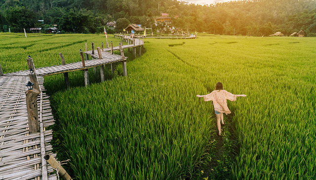 乡村旅游,乡村建设,提质,行动方案,建筑创新,,人民日报,,组合拳,酒店管理学院,农村人居环境,农家
