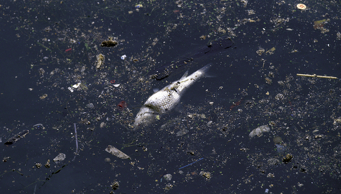 跨省倾倒,固废,污染,长江,判刑,公开道歉