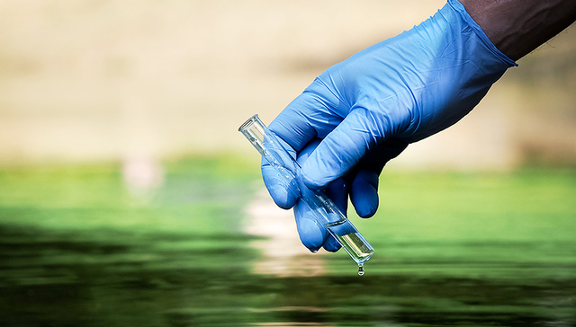 水质黑臭连续3个月，宝山、金山两条河道及其河长被通报