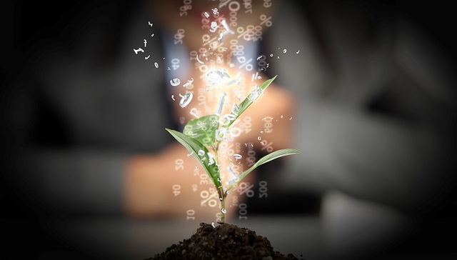 国务院金稳会：稳定市场、促进国企改革和民企发展等要快速扎实落实到位