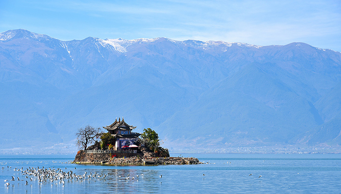 洱海湖滨带,流域,水质类别,高锰酸盐指数,饮用水水源地,生态环境,开发建设,客栈,井喷,十三五