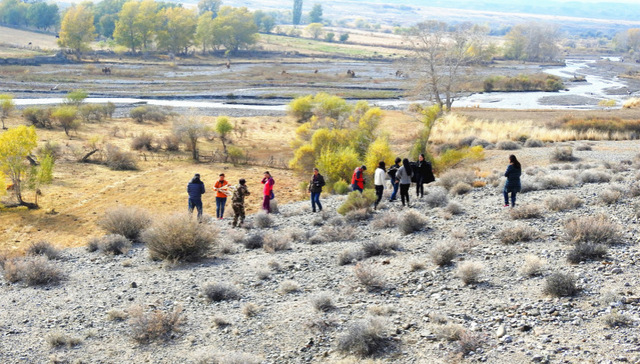 新疆小城“智慧农业”缩影：采棉工走了 飞手来了