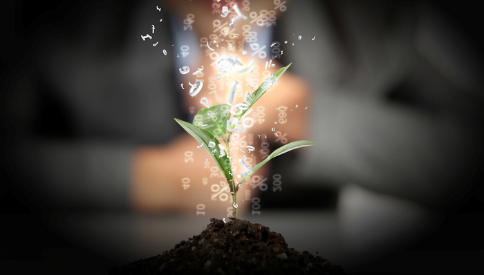 财经速递,财政收入,GDP