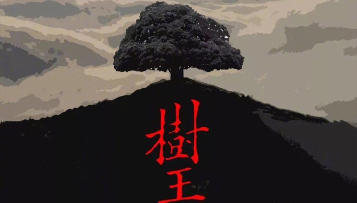 树王,1986年,田壮壮导演,蓝风筝,孩子王,棋王,三王,寻根文学,作品,斗争