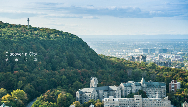 蒙特利尔，魁北克，法语