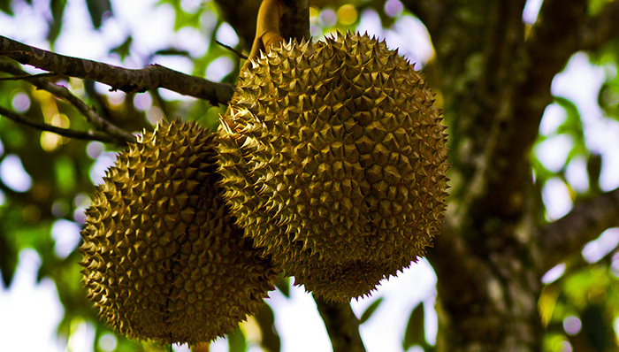 天下故事,惊奇的发现